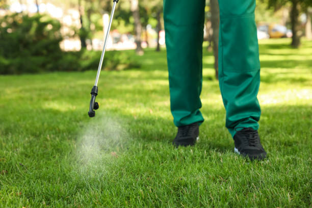 Best Commercial Pest Control Services  in Mercedes, TX