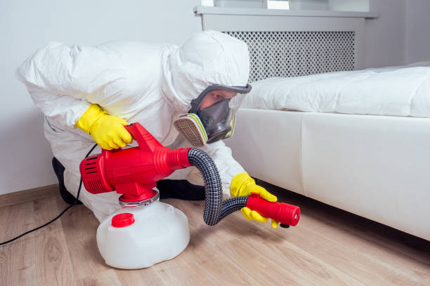 Flea Control Services in Mercedes, TX